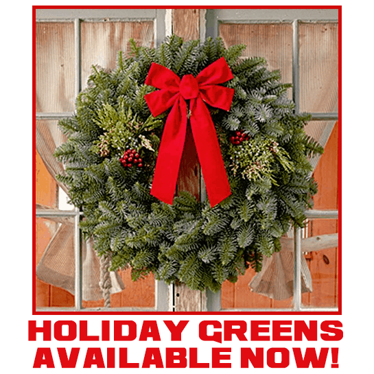 Assorted Christmas Greenery DIY Large Box Oregon Greens Fresh Cut